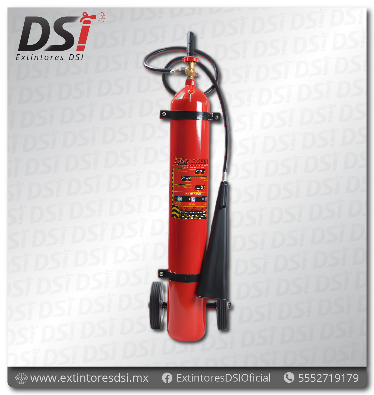 Extintor-CO2-Bioxido-de-Carbono-BC-20lb