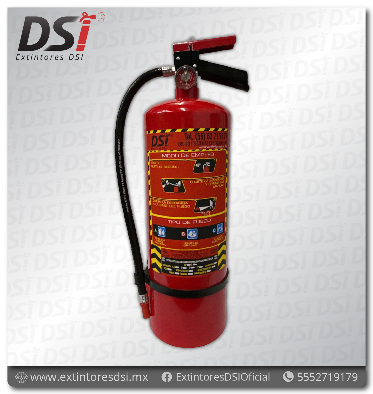 Extintor PQS Polvo Químico Seco ABC - 9 Kg