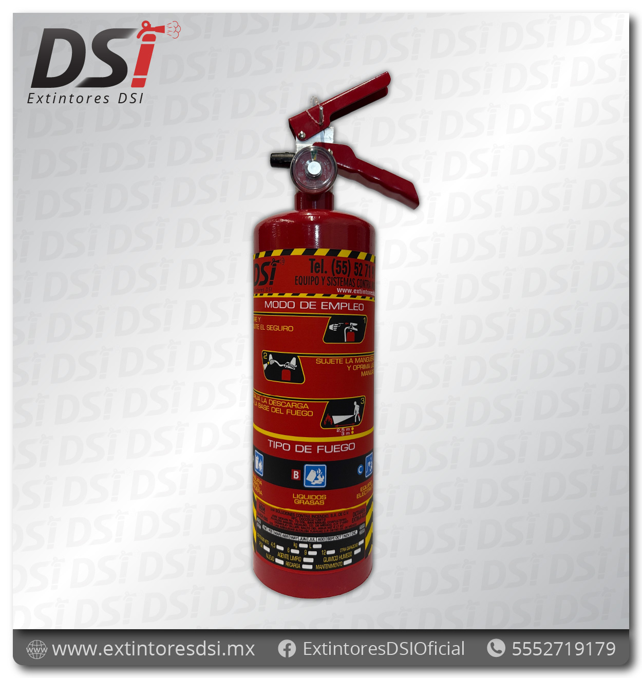 Extintor PQS Polvo Químico Seco ABC Automotriz - 2.5 Kg