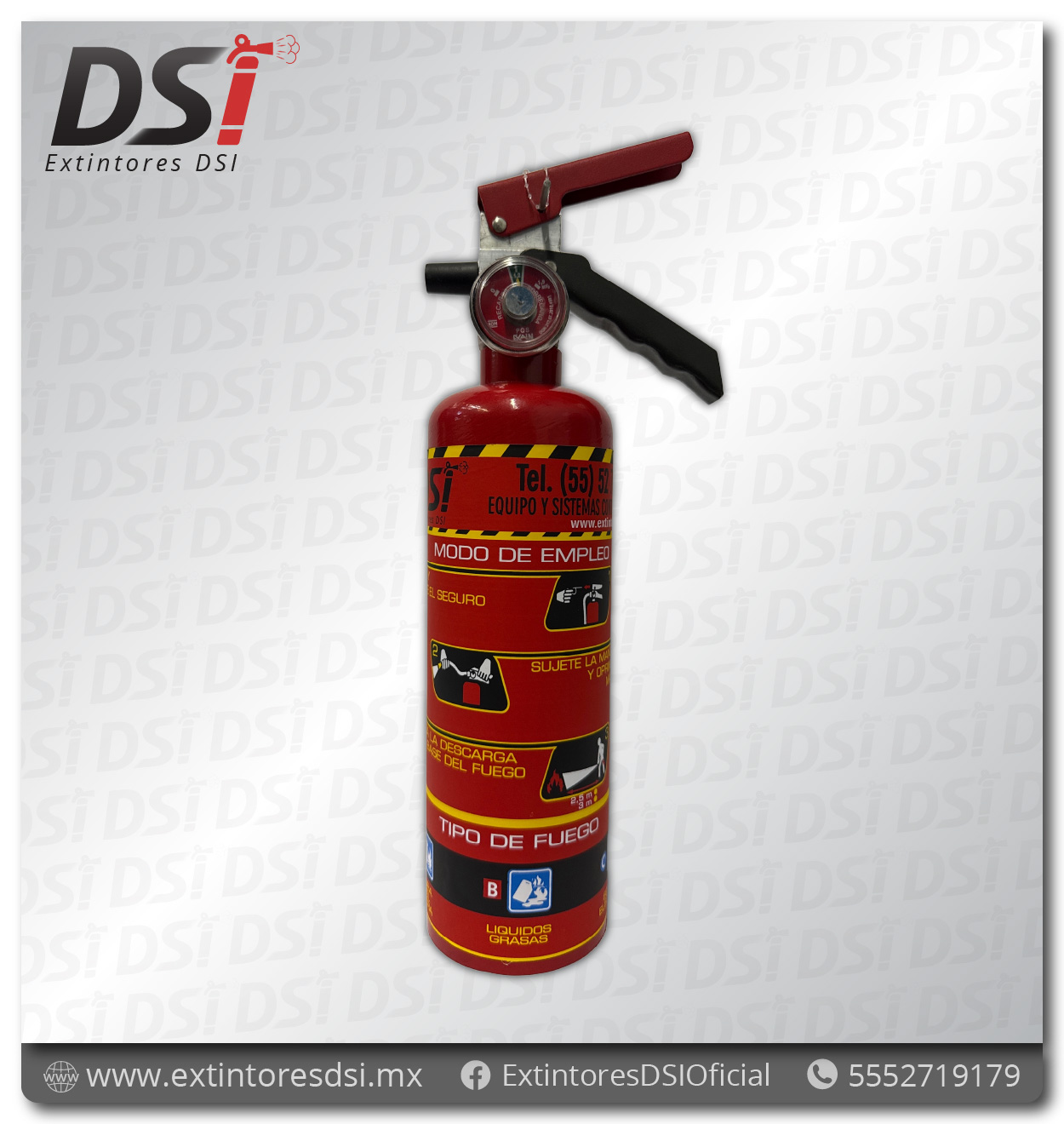 Extintor PQS Polvo Químico Seco ABC Automotriz - 750g